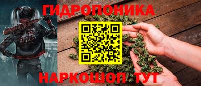 мяу мяу мука Гай
