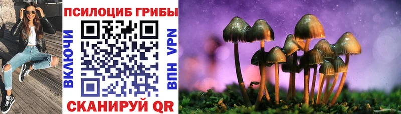 OMG tor  Истра  Псилоцибиновые грибы Psilocybe 