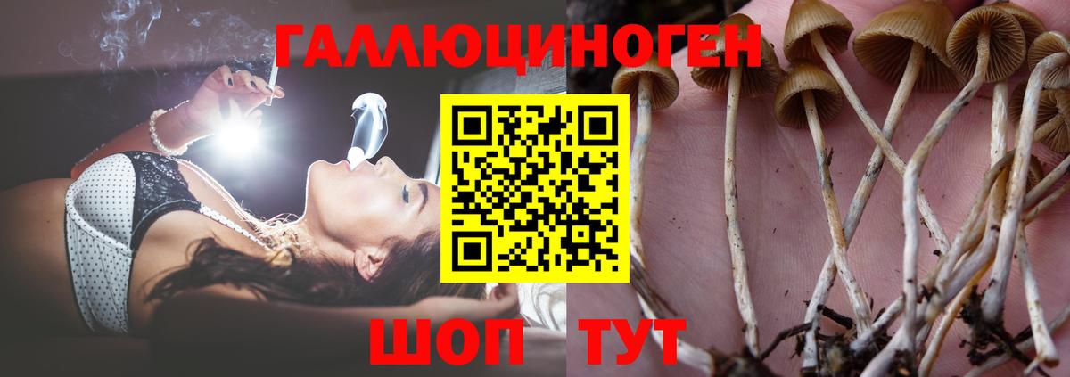 Конопля  Лсд 25  ГАШИШ  Истра  NBOMe  Вход с VPN  Меф кристаллы  КОКАИН  Купить закладку 