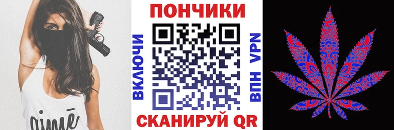 закладка  Истра  Каннабис сатива 